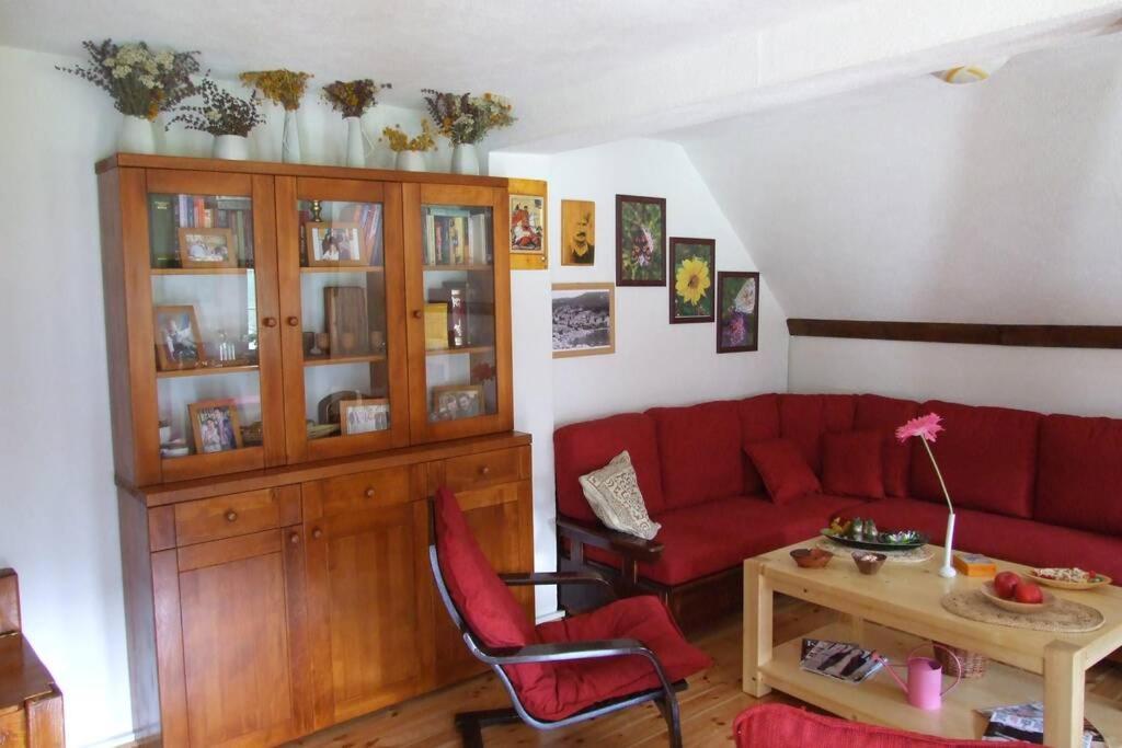 Spectacular Lakeview House Zabljak  Ngoại thất bức ảnh